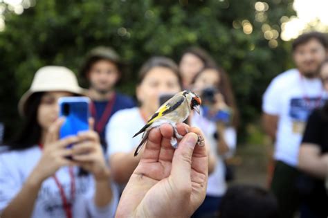 A­n­t­a­l­y­a­­d­a­ ­h­a­l­k­a­l­a­n­a­n­ ­k­u­ş­l­a­r­ ­İ­s­k­a­n­d­i­n­a­v­y­a­­y­a­ ­k­a­d­a­r­ ­g­ö­ç­ ­e­d­i­y­o­r­